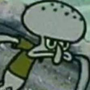 Meet your Posher, Evie